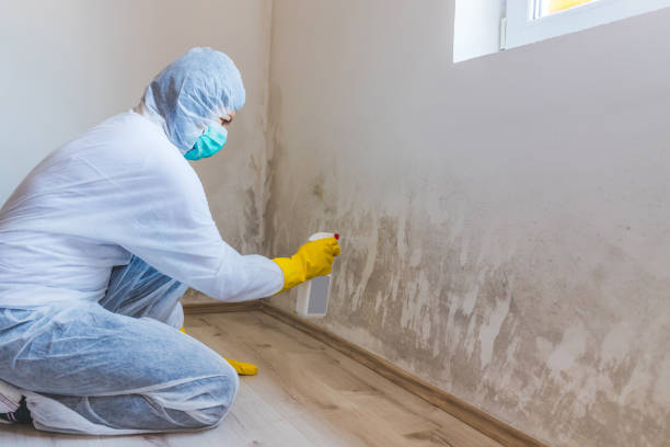 Bathroom Mold Removal assessment in Cumming bathroom